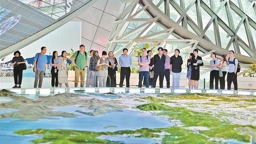 深圳國內旅游業務迎來新機遇 創新融合引領市場復蘇與增長