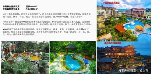 畫廊源 紅色旅游的資本新篇，重慶中虹源實業集團的上市雄心